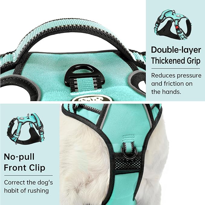 IVY&LANE No Pull Dog Harness with Leash Set, Reflective No Choke Pet Vest,Adjustable Oxford Dog Vest Harness with Easy Control Handle for Large Dogs (Turquoise,XL)