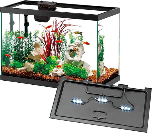 Aqueon 10 Gallon Aquarium Starter Kit with SmartClean Filtration and LED Lighting for Tropical Freshwater Fish
