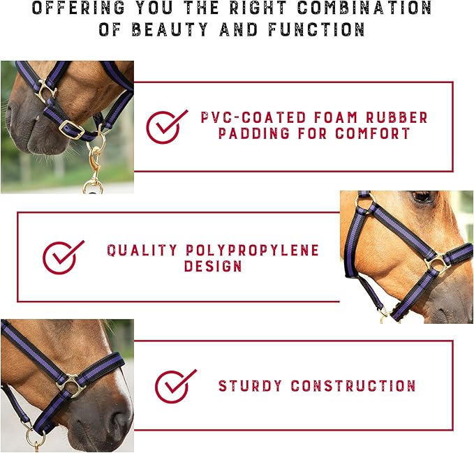 Weaver Equine Breakaway Horse Halter, Comfort Foam Padding, Adjustable Chin & Throat Snap Halters for Horses, Equine Tack,Average Size, Purple