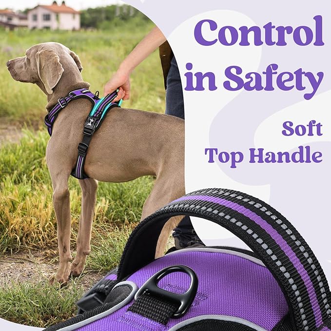 rabbitgoo Dog Harness for Large, No Pull Pet Harness with 3 Buckles, Adjustable Soft Padded Vest with Control Handle, Walking Reflective Pet Vest for Large Dogs, Purple, L