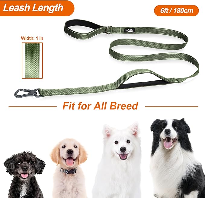 TwoEar 6FT 1IN Strong Green Dog Leash with 2 Padded Handles, Traffic Handle Extra Control, Comfortable Soft Dual Handle, Auto Lock Hook, Reflective Walking Lead for Small Medium and Large Dogs