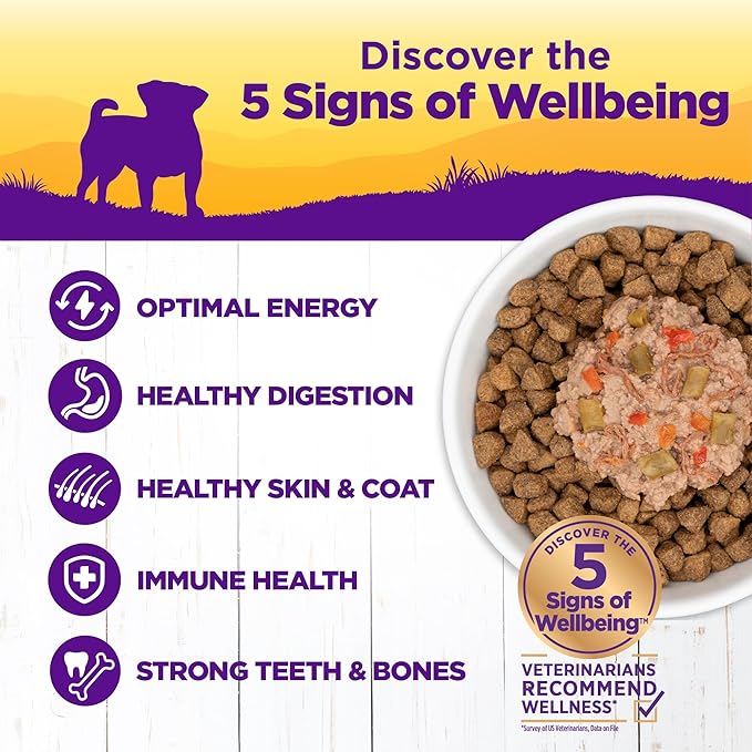 Wellness Petite Entrées Shredded Medley with Roasted Chicken, Beef, Green Beans & Red Peppers, 3-Ounce Cup (Pack of 12)