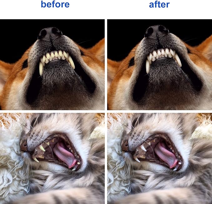 Newday 50 Pieces Double-Headed Dog Cat Pet Toothbrush, Super Soft Bristles Oral Care Teeth, pet Tooth Brush for Dogs, Dog toothbrushes in Bulk Individual polybag (Blue)