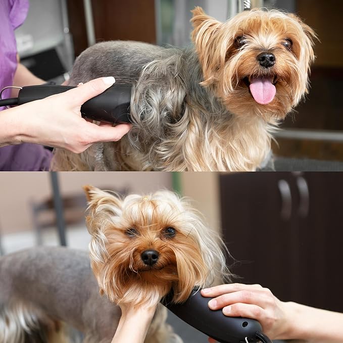 Detachable A Series 4 Blade Dog Grooming Skip Tooth Cuts Length 3 3/8" - 9.6mm Japanese High Carbon Steel Dog Grooming Blade Supplies | Detachable Blade Clippers (Compatible A5 Series(B4)