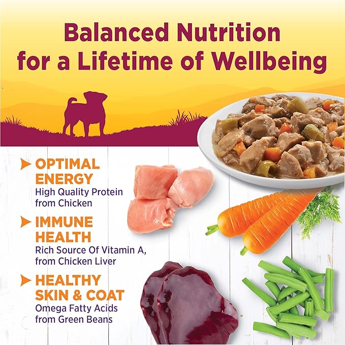 Wellness Petite Entrées Mini-Filets with Roasted Chicken, Beef, Carrots & Green Beans in Gravy, 3-Ounce Cup (Pack of 12)