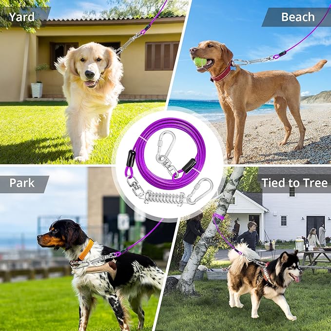 Jenico Dog Tie Out Cable - 10/15/20/30/40/50/70/100/150FT Runner Cable with Swivel Hook and Shock Spring, for Small to Medium Pets Up to 500 LBS