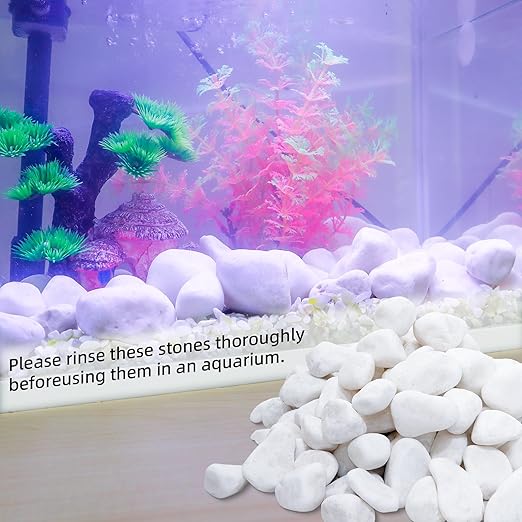 8LB 1"-2" White River Rocks for Plants, Polished Pebbles for Garden Landscaping, Planters, Aquariums, Vase Fillers – Indoor & Outdoor Decor