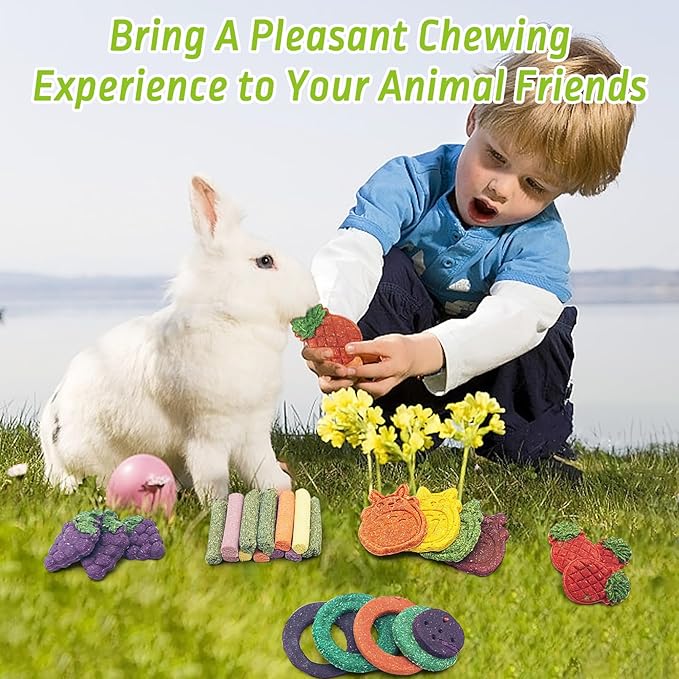 Fhiny 27 PCS Natural Bunny Chew Toys Molar Rabbit Toys Contain Timothy Grass Pumpkin Beets Purple Potatoes Carrot Hamster Treats for Chinchillas Guinea Pigs Mice Gerbils Teeth Grinding