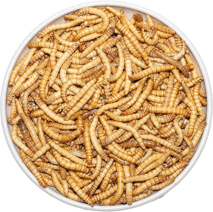 Freeze Dried Mealworms 6 Oz - High Protein Pet Food for Reptiles, Bearded Dragons, Birds & Hedgehogs - Nutrient-Packed Treat for Lizards, Geckos, Turtles, Chickens