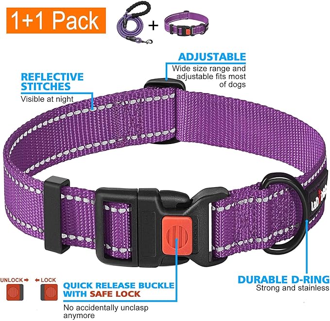Heavy Duty Dog Leash - Comfortable Padded Handle, 5 ft Long - Dog Leashes for Small Medium Large Dogs (Leash+Collar L Neck 20"-25", Purple)