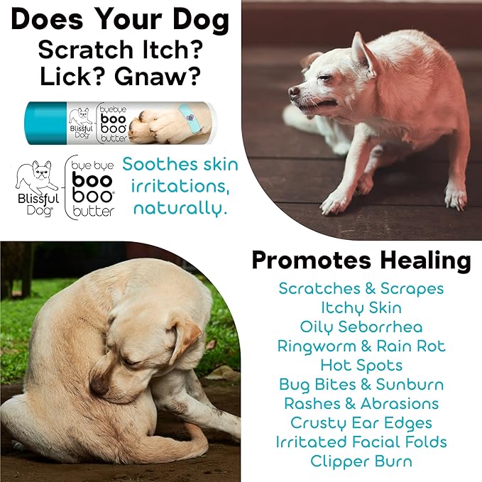 The Blissful Dog Dalmatian Boo Boo Butter, 2-Ounce