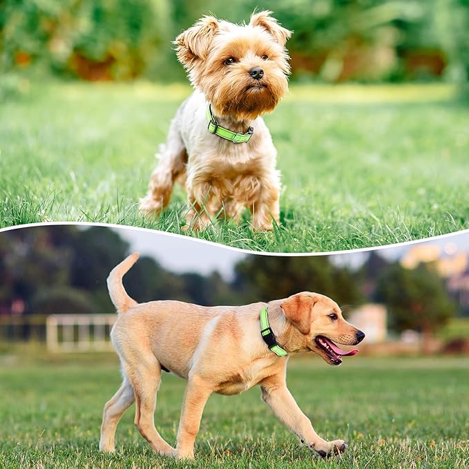 Reflective Dog Collar Padded with Soft Neoprene Breathable Quick Release Basic Dog Collars for Puppy Small Dogs Girl Green