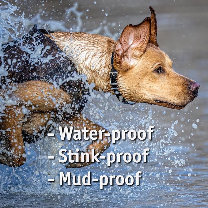 Biothane Custom Dog Collar – Waterproof, Stink-Proof Personalized Collar with Name & Phone Number – Durable, Many Sizes and Colors – Assembled in USA (Lilac Purple)