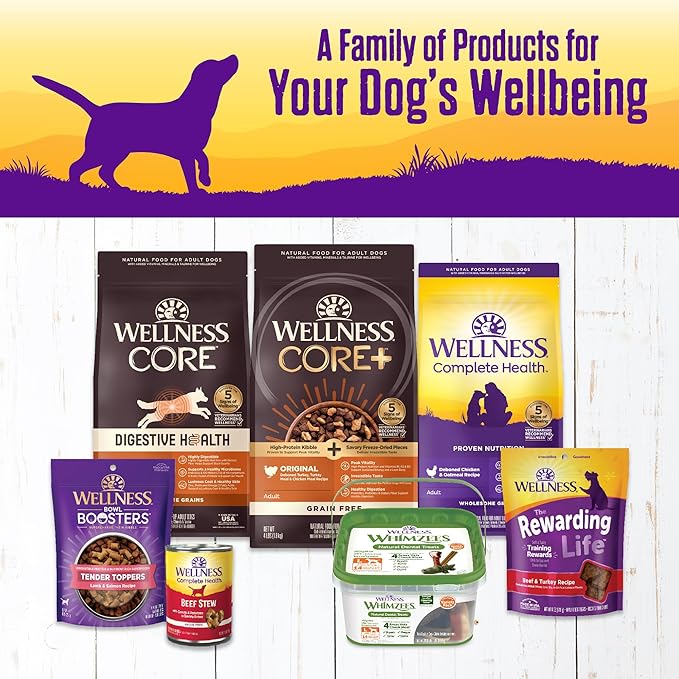 Wellness Complete Health Thick & Chunky Natural Grain Free Canned Wet Dog Food, Beef Stew, 12.5-Ounce Can (Pack of 12)