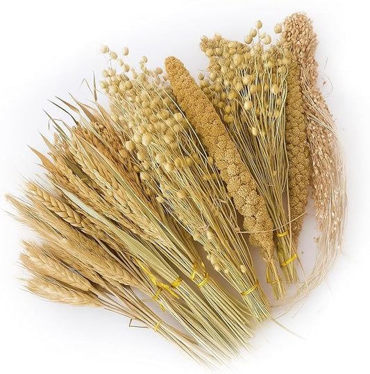 ZIPPYPET Hamster Sprays and Forage Accessories for Cages, Pet Mouse Decor Textures (5)