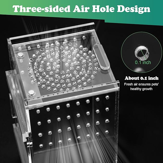 Jumping Spider Enclosure, 3x3x6 Inch Jumping Spider Habitat with Magnet Opening Door Jumping Spider Accessories Small Acrylic Terrarium for Tarantula and Praying Mantis