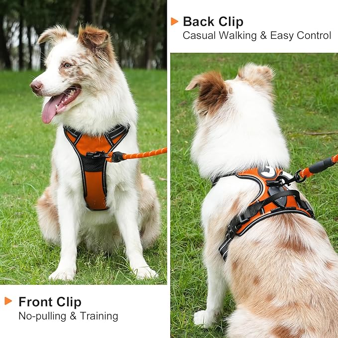 Taglory Light Up Dog Harness, Rechargeable No Pull Dog Vest with 3 Lightning Modes, Reflective Dog Harness with 2 Leash Clips & 4 Adjustable Slide Strips for Large Dogs, Orange-Orange, XL