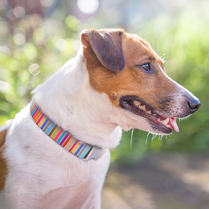 AirTag Dog Collar for Small Medium Large Breed - Adjustable Cute Pattern Dog Collar with Airtag Holder - Soft Leather Tracker GPS Apple Air Tag Pet Collars (X-Small, 9"-12" Neck Fit, Serape)