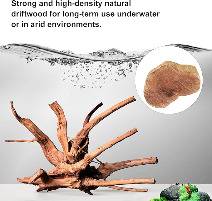 majoywoo Natural Driftwood for Aquarium Decor Fish Tank Decorations, Assorted Spider Wood Branch 4-8" 5 Pcs, Reptile Decor
