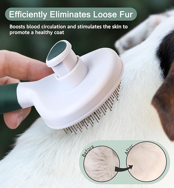 Pet Self-Cleaning Slicker Brush for Dogs & Cats, Deshedding Grooming Comb, Removes Loose Undercoat Hair & Mats, Skin-Friendly Massaging Tool for Long/Short Fur, Large & Small Breeds (Green)