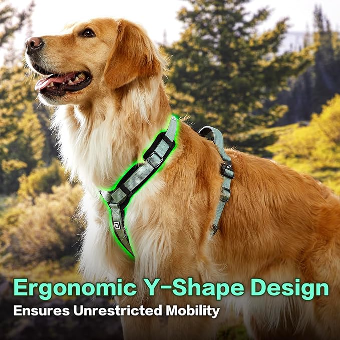 CLEPAWS Dog Harness for Medium Dogs, No Pull Dog Harness Easy Walk with Metal Hardware, Ergonomic Y-Shaped Design, Soft Padding, Padded Handle, Durable High-Tensile Nylon (Seabreeze, M)