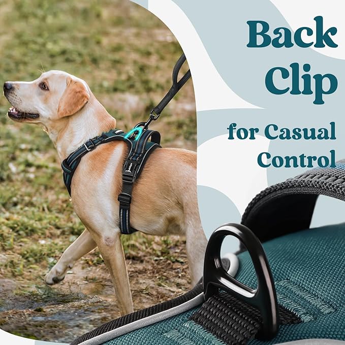 rabbitgoo Dog Harness Small Sized, No Pull Pet Harness with 3 Buckles, Adjustable Soft Padded Vest with Control Handle, Walking Reflective Pet Vest for Small Dogs, Blue Coral, S