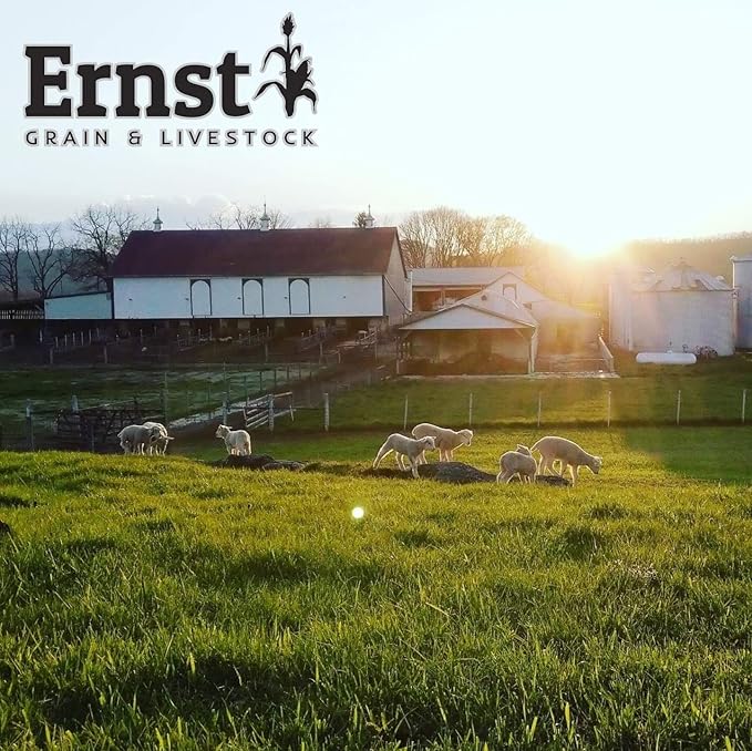 Ernst Grain & Livestock's Bird and Wildlife Feed – Perfect for Birds, Ducks, Squirrels, Turkeys, Rabbits, Geese, and Deer – Non-GMO Wild Animal & Bird Feed for Outside Feeders (25lb Bag)