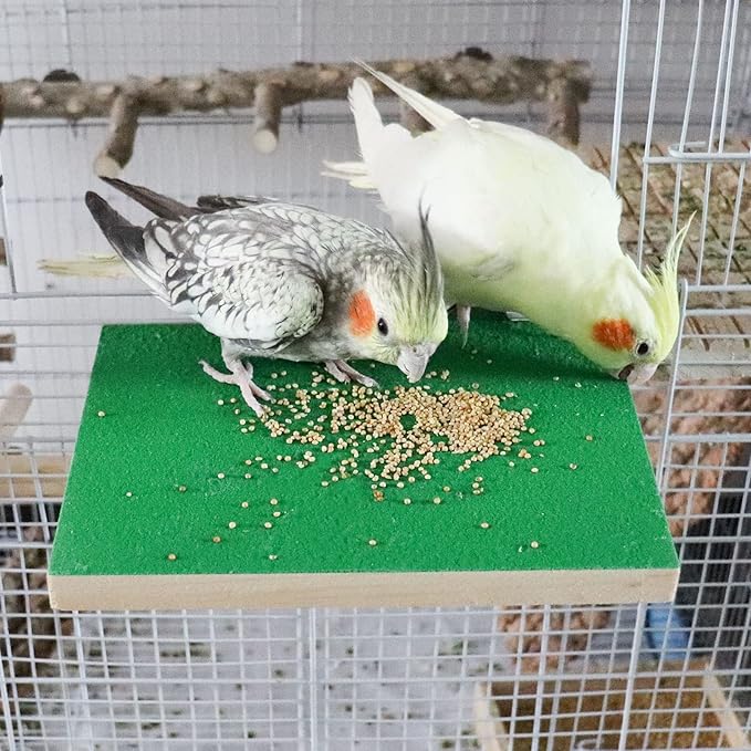 7.9×5.9 Inches Large Bird Perch Stand Platform, Natural Wooden Bird Cage Accessories, Bird Stand Perch with Rough Quartz Sand Surface for Parrot, Parakeet, Budgies, Cockatiel, Rats