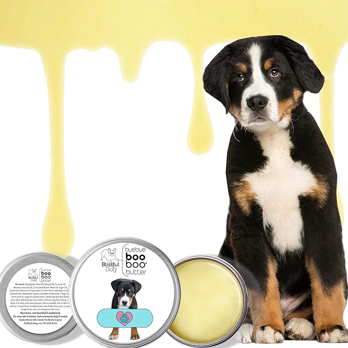 The Blissful Dog Greater Swiss Mountain Dog Boo Boo Butter, 8-Ounce