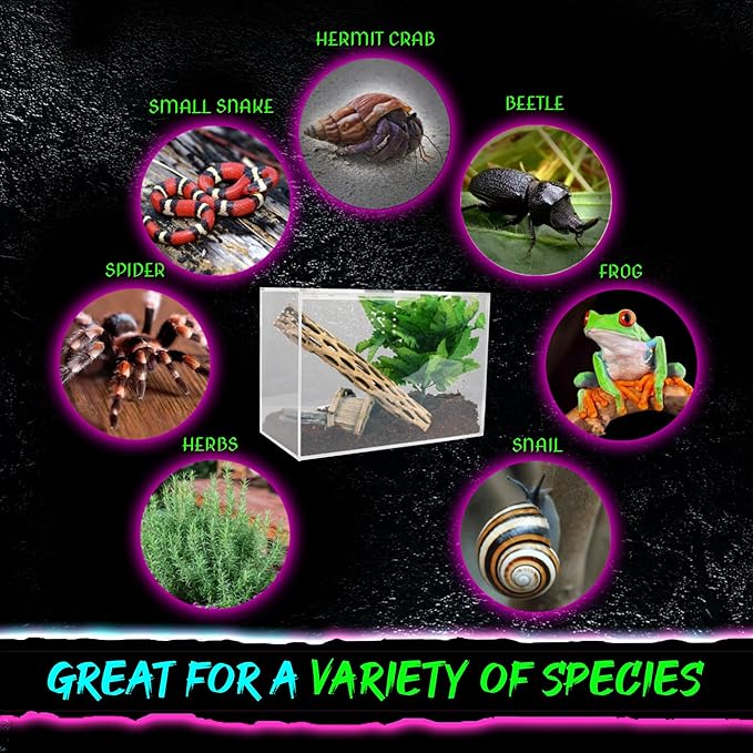 Tarantula Enclosure XL (10”x7”x14”) Reptile Terrarium w/Sliding Magnetic Door-Great Reptile Tank for Terrestrial or Arboreal Animals- Acrylic Terrarium for Juvenile or Adult Spiders- Hermit Crab Cage