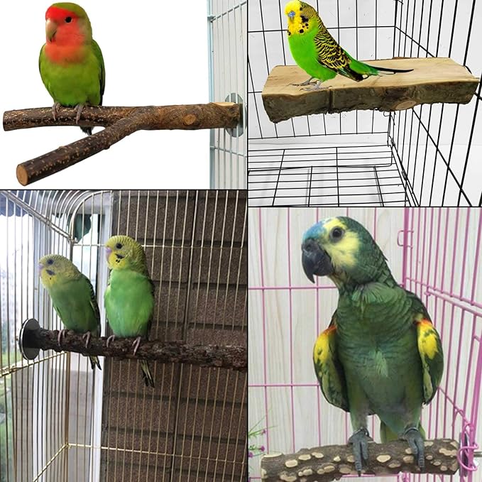 kathson 5PCS Wood Bird Perch Wooden Parrot Stand Toy Parakeet Standing Platform Chew Toys Natural Cuttlebone Paw Grinding Stick Cockatiels Cage Accessories Exercise Toy for Conures Budgies Lovebirds