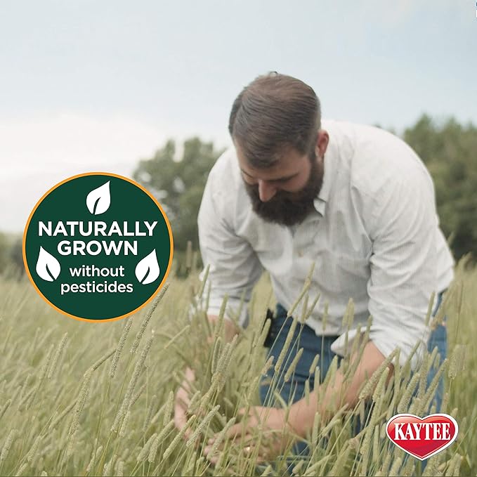 Kaytee All Natural Timothy Hay Plus Marigolds for Guinea Pigs, Rabbits & Other Small Animals, 24 Ounce (Pack of 2)