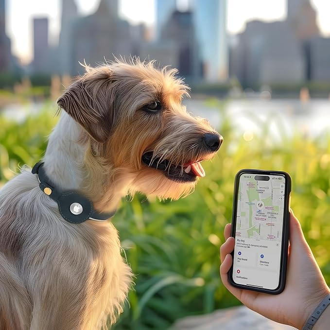 OOPSDOGGY Rolled Leather Dog Collar with Airtag Holder - Reflective Round Airtag Dog Collar - Soft Tracking Pet Collar for Small Dogs Puppy Cats Kitten (Teal, S, 10"-13")