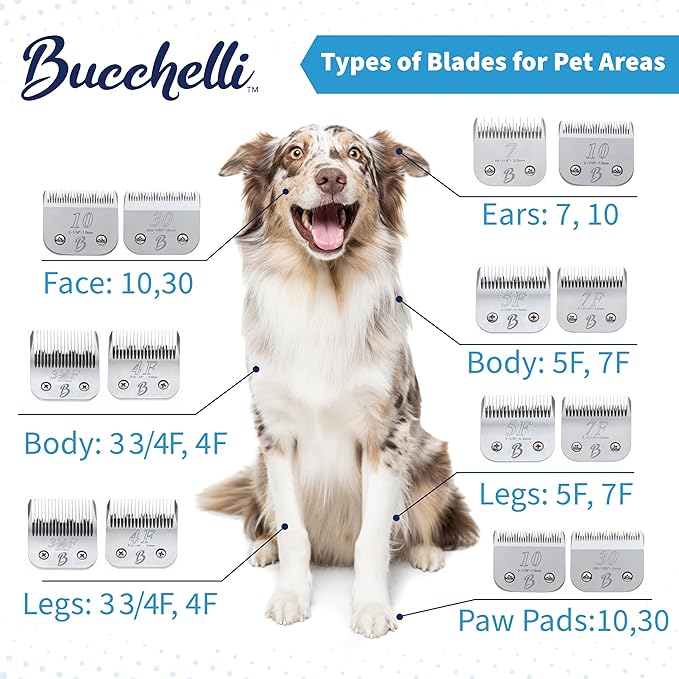 Detachable A Series 7 Skip Tooth Blade Dog Grooming Cuts Length 1/8" - 3.2mm Japanese High Carbon Steel 7 Dog Grooming Blade Supplies | Detachable Blade Clippers (Compatible A5 Series(B7)