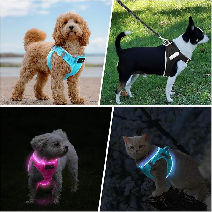 PceoTllar Light Up Dog Harness, LED No Pull Reflective Dog Harness, Flashing Lighted for Night Walking - Small/Medium, (Blue M)
