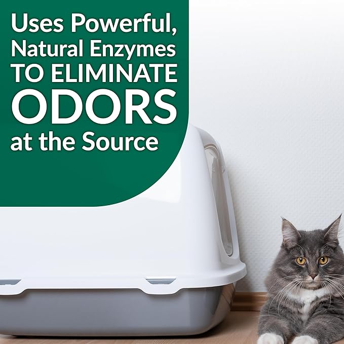 Simple Green Cat Stain & Odor Remover - Enzyme Cleaner for Cat Urine, Feces, Blood, Vomit (32 oz Sprayer & 1 gallon Refill)