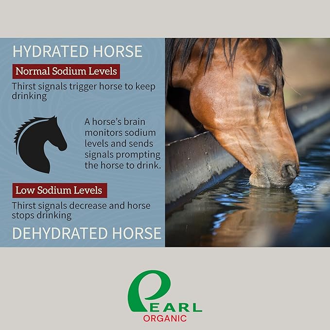 New 8 lbs Animal Himalayan Salt Lick on Rope for Horses, Deer, Rabbits, Cows and Other Livestock | Lick Salt for Deer | Digestive Aid for Animals | Horse Treats (8 lbs)