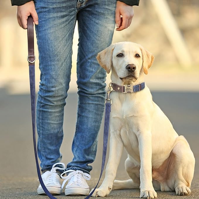 Didog Soft PU Leather Dog Collar for Large Dogs,Classic Adjustable Dog Collars with Quick Release Metal Buckle,Easy Clean and Comfortable with Nylon Lining,Blue,L Neck 15-23"