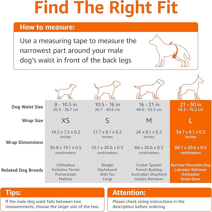 Amazon Basics Male Dog Diapers, 30 Count, Large, Ultra Absorbent Disposable Wrap with Secure Fit, Leakproof and Comfortable