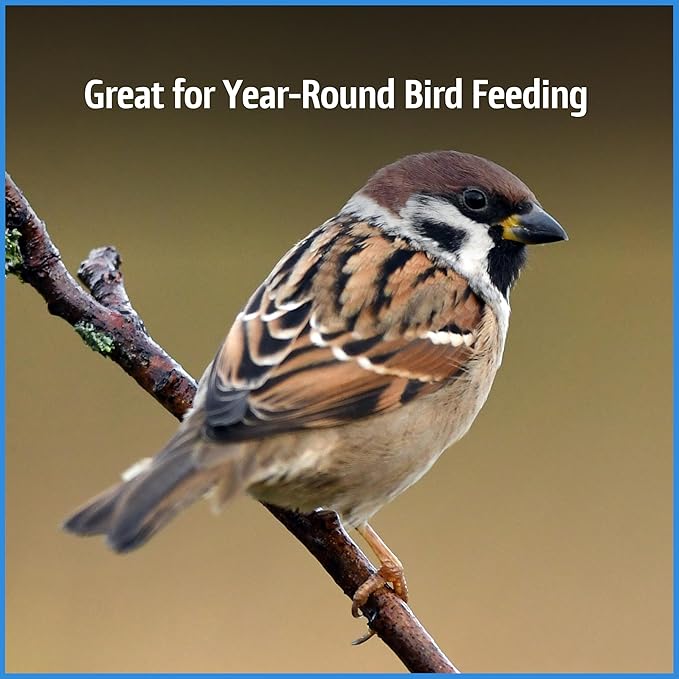 Pennington Select Chips & Bits Wild Bird Seed for Outside Feeders, High-Protein, No-Hull & No-Waste, Sunflower Chips & Peanut Bits Attract Songbirds,15-lb. Bag