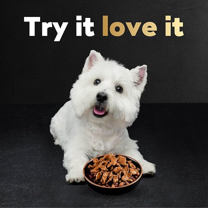 Cesar Filets in Gravy Wet Dog Food Filet Mignon Flavor, 1.76 oz. Mini-Pouch (20 Count, Pack of 1)