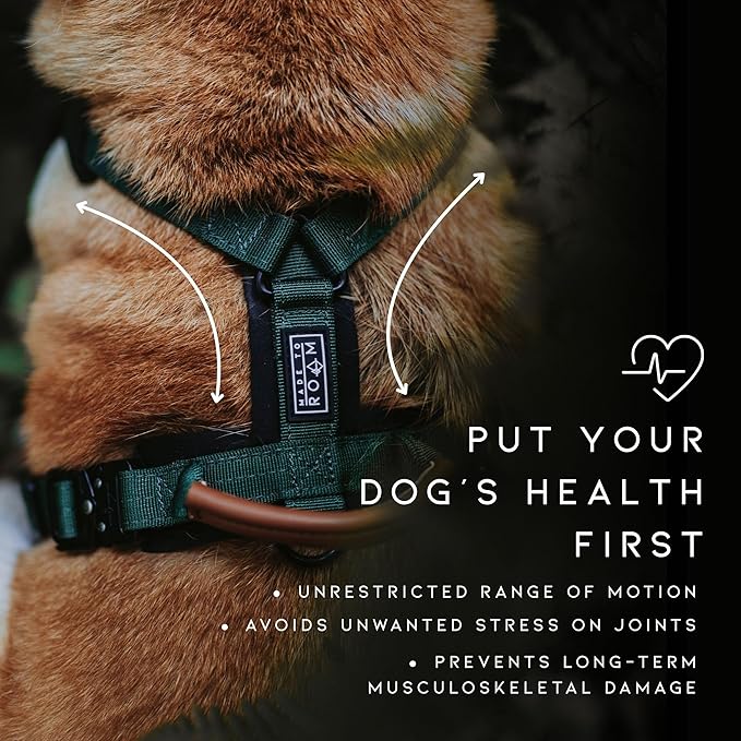 MADE TO ROAM Premium Explorer Harness - Y-Shaped Dog Harness with Adjustable Durable Nylon, Soft Padding, Metal Buckles and Leather Handle for Small, Medium, Large Dogs (Colorado Nightsky, Size 4)
