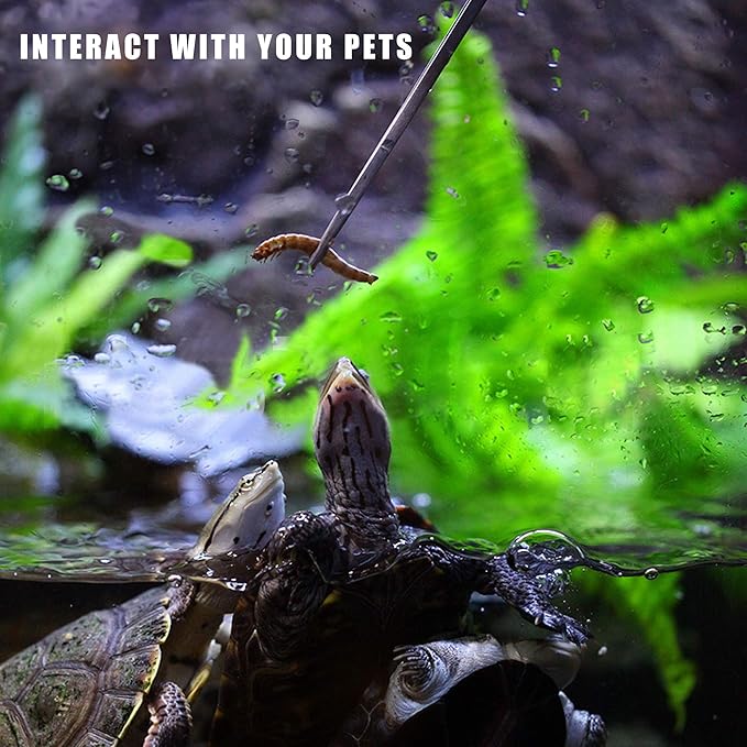 Longjet Kitchen Tweezers Metal Tongs for Cooking - Reptile Feeding Tongs for Gecko, Bearded Dragon, Snake - Long Forceps for Aquarium Plant