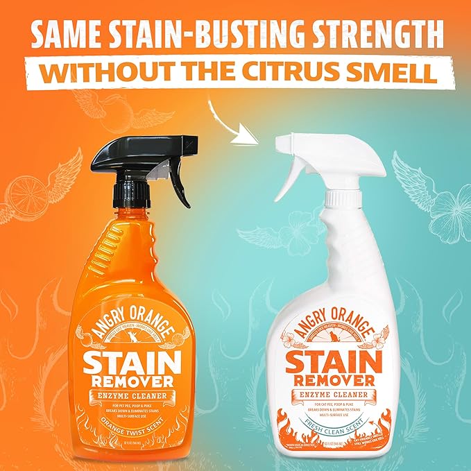 ANGRY ORANGE Cat Urine Odor Eliminator & Stain Remover, Pet-Friendly Deodorizer