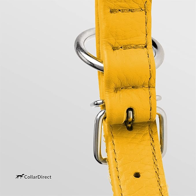 CollarDirect Rolled Leather Dog Collar, Soft Padded Round Puppy Collar, Handmade Genuine Leather Collar Dog Small Large Cat Collars 13 Colors (6-7 Inch, Yellow Textured)