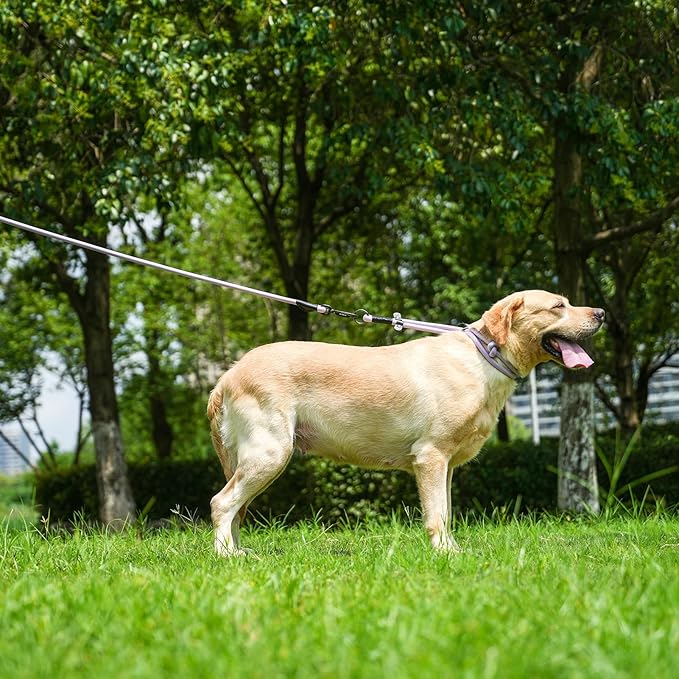 Rope Dog Leash, 4 ft Heavy Duty Dog Leash with Aviation Aluminum Auto Locking Carabiner, Strong Nylon Pet Lead for Small, Medium, Large Dogs (Rose Red, 4FT)