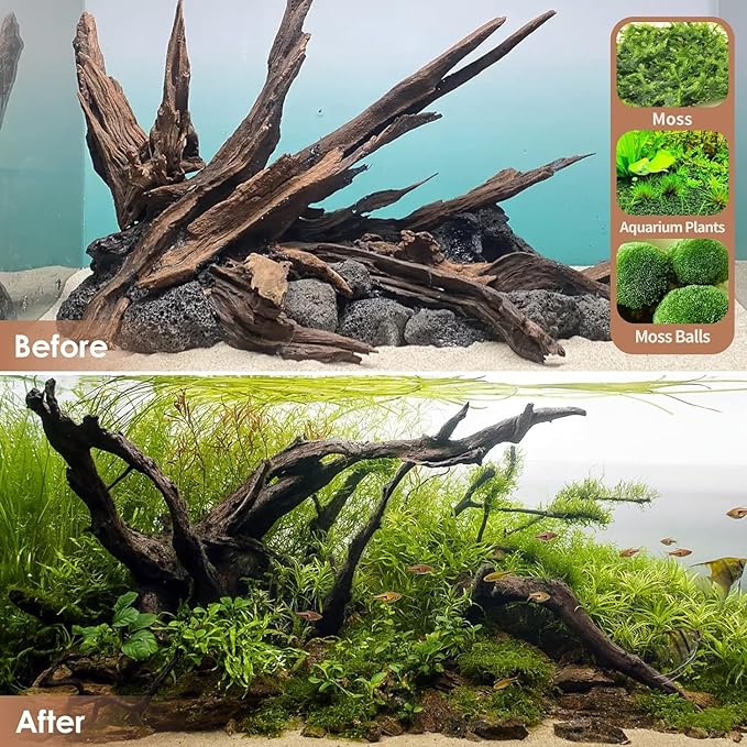 Natural Aquarium Driftwood for Fish Tanks & Reptile Terrariums – Safe Fish Tank Decorations, Unique Twisted Branches 3-Piece 7-11 Inch Low Tannin, Easy to Sink