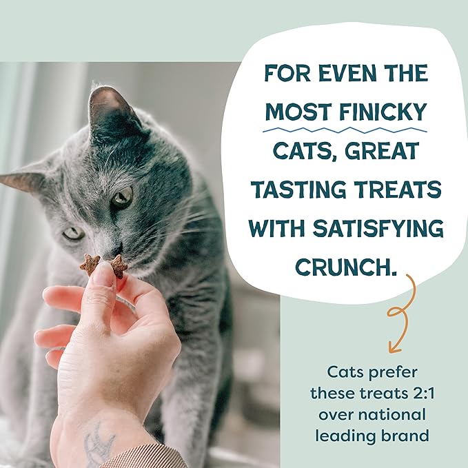 Shameless Pets Crunchy Cat Treats - Catnip Treats for Cats with Digestive Support, Kitten Treats with Real Ingredients, Natural & Healthy Flavored Feline Snacks - Catnip N Chill Chicken Liver, 1-pk