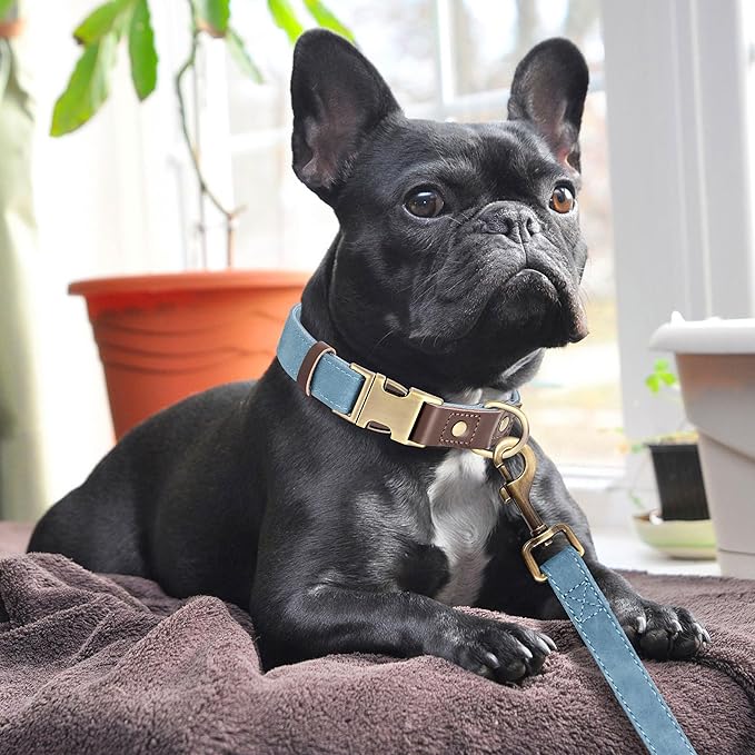 Didog Soft PU Leather Dog Collars for Medium Dogs,Classic Adjustable Dog Collars with Quick Release Metal Buckle,Easy Clean and Comfortable with Nylon Lining,Denim Blue,M Neck 13-19"