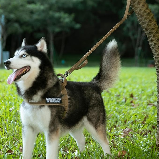 EXCELLENT ELITE SPANKER Tactical Bungee Dog Leash Military Adjustable Dog Leash Quick Release Elastic Leads Rope with 2 Control Handle（Grey